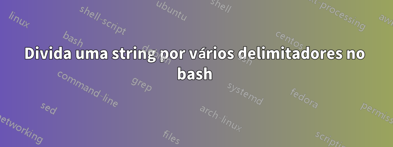 Divida uma string por vários delimitadores no bash