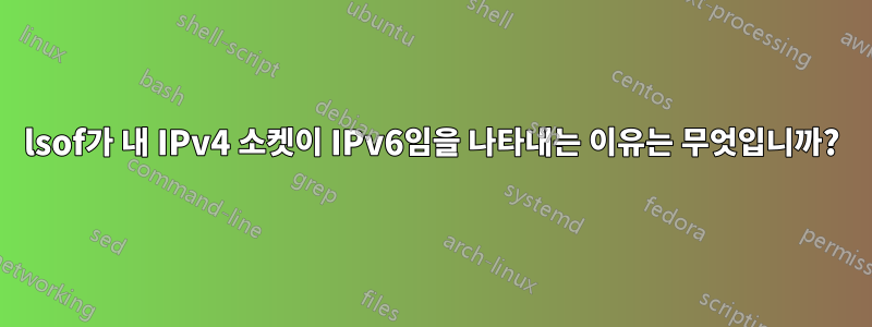 lsof가 내 IPv4 소켓이 IPv6임을 나타내는 이유는 무엇입니까?