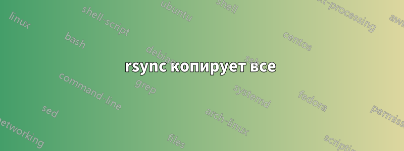 rsync копирует все