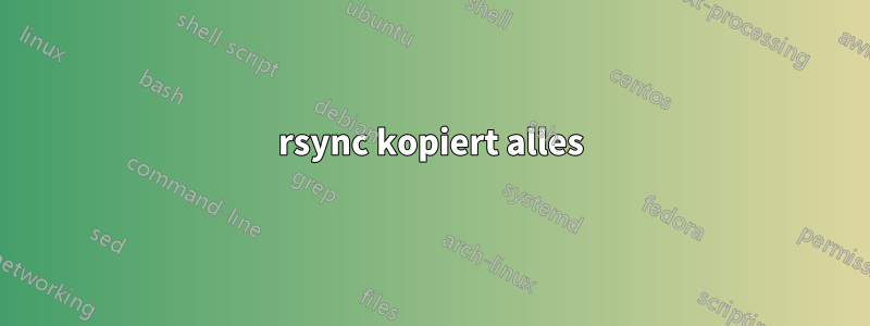 rsync kopiert alles