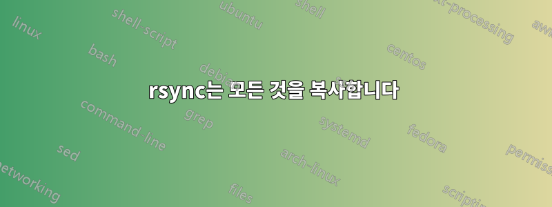 rsync는 모든 것을 복사합니다