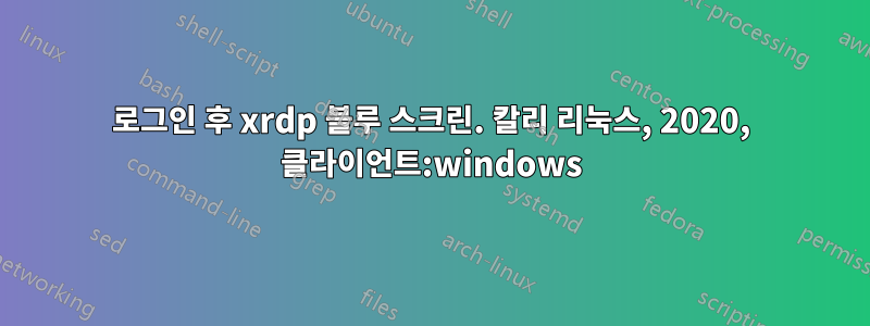 로그인 후 xrdp 블루 스크린. 칼리 리눅스, 2020, 클라이언트:windows