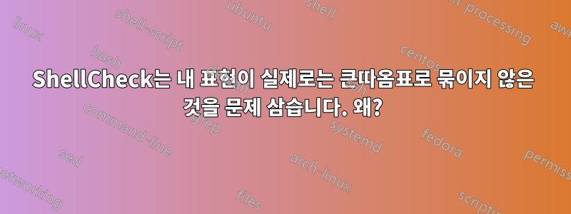 ShellCheck는 내 표현이 실제로는 큰따옴표로 묶이지 않은 것을 문제 삼습니다. 왜?