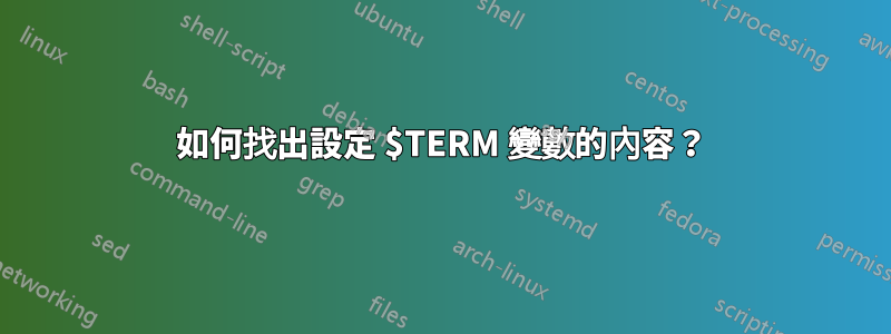 如何找出設定 $TERM 變數的內容？