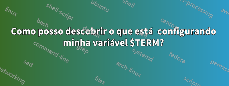 Como posso descobrir o que está configurando minha variável $TERM?