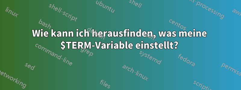 Wie kann ich herausfinden, was meine $TERM-Variable einstellt?