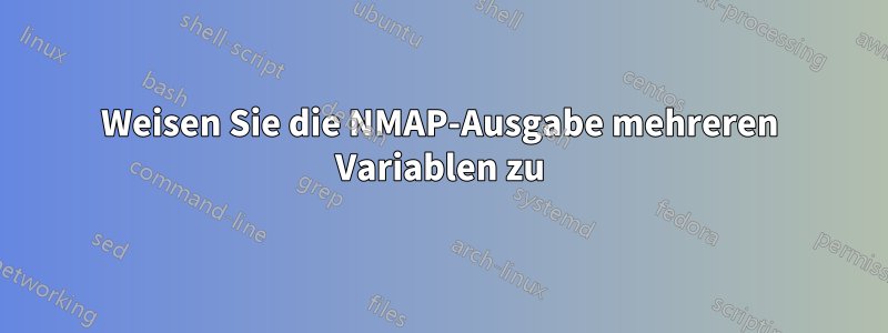 Weisen Sie die NMAP-Ausgabe mehreren Variablen zu