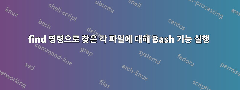 find 명령으로 찾은 각 파일에 대해 Bash 기능 실행