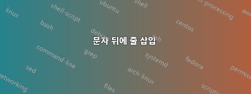 문자 뒤에 줄 삽입