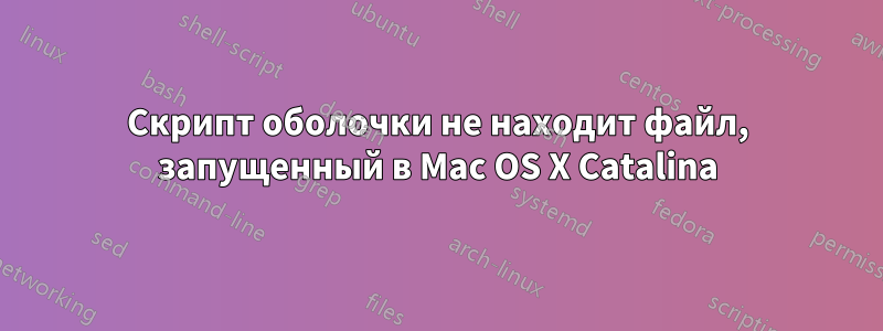 Скрипт оболочки не находит файл, запущенный в Mac OS X Catalina
