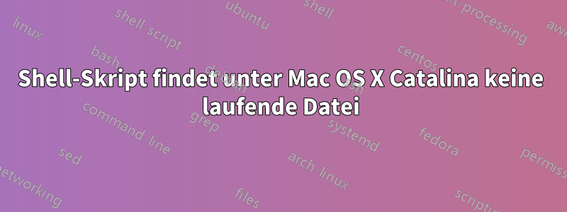 Shell-Skript findet unter Mac OS X Catalina keine laufende Datei
