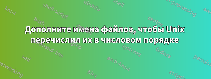 Дополните имена файлов, чтобы Unix перечислил их в числовом порядке