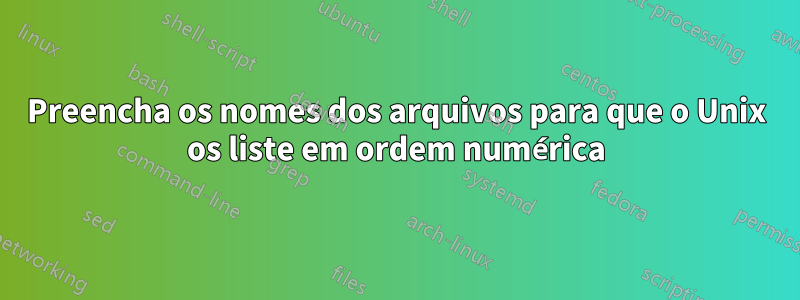 Preencha os nomes dos arquivos para que o Unix os liste em ordem numérica