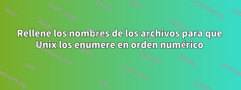 Rellene los nombres de los archivos para que Unix los enumere en orden numérico