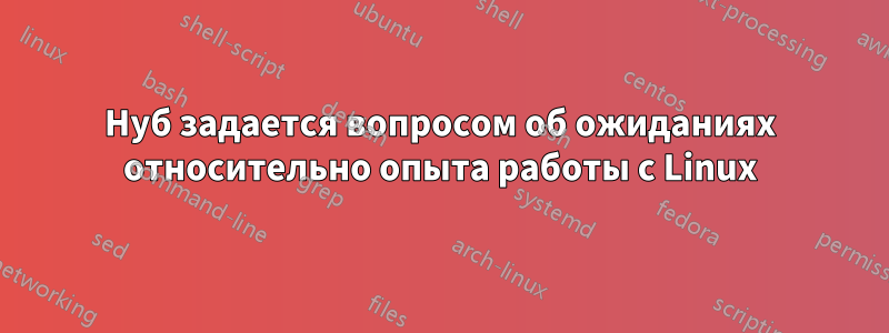 Нуб задается вопросом об ожиданиях относительно опыта работы с Linux