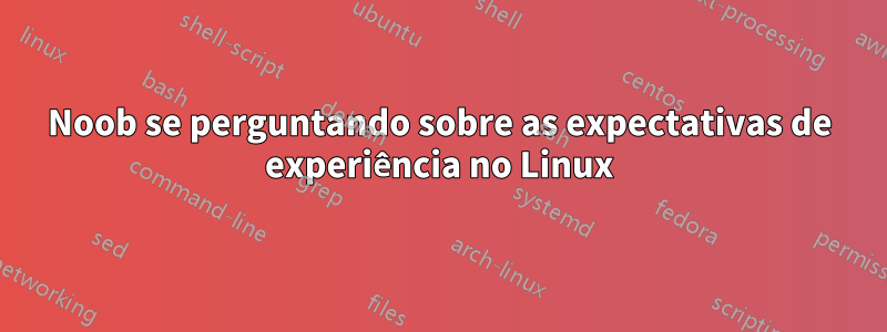 Noob se perguntando sobre as expectativas de experiência no Linux