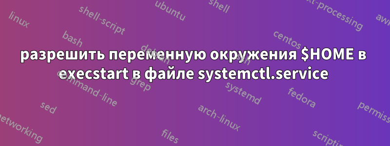 разрешить переменную окружения $HOME в execstart в файле systemctl.service