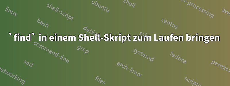 `find` in einem Shell-Skript zum Laufen bringen