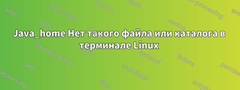 Java_home Нет такого файла или каталога в терминале Linux