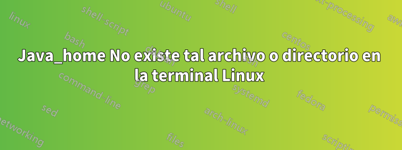 Java_home No existe tal archivo o directorio en la terminal Linux
