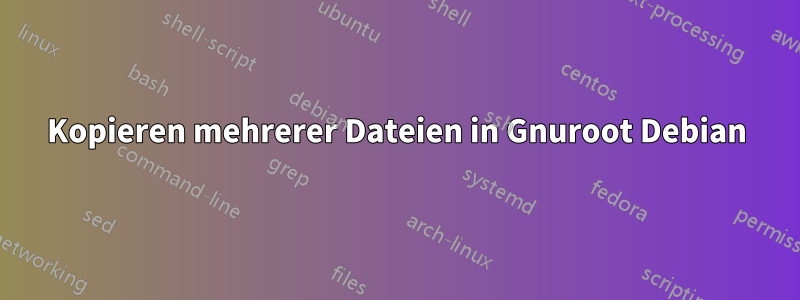 Kopieren mehrerer Dateien in Gnuroot Debian