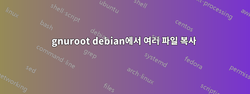 gnuroot debian에서 여러 파일 복사