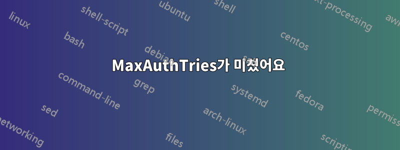 MaxAuthTries가 미쳤어요