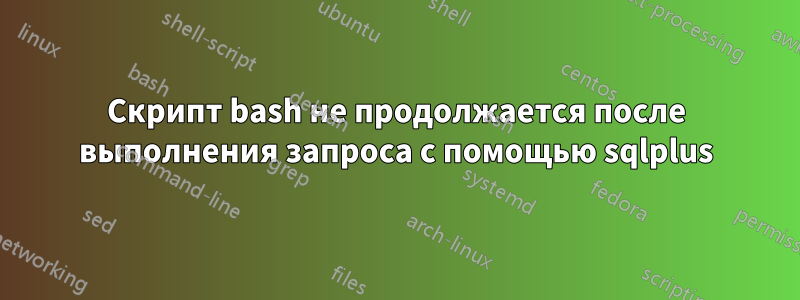 Скрипт bash не продолжается после выполнения запроса с помощью sqlplus