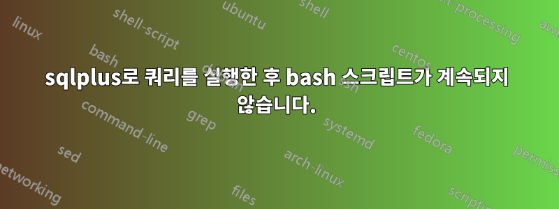sqlplus로 쿼리를 실행한 후 bash 스크립트가 계속되지 않습니다.
