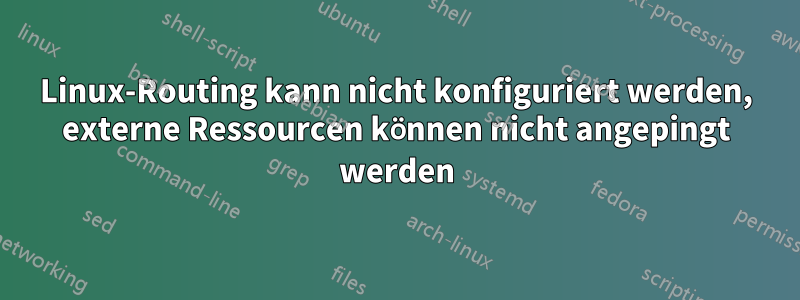 Linux-Routing kann nicht konfiguriert werden, externe Ressourcen können nicht angepingt werden