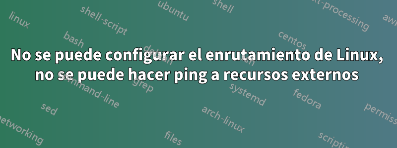 No se puede configurar el enrutamiento de Linux, no se puede hacer ping a recursos externos