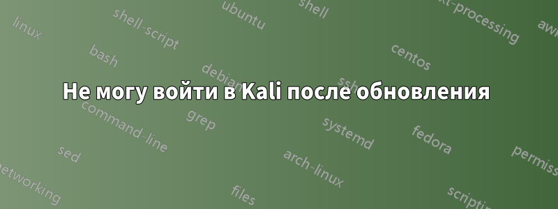 Не могу войти в Kali после обновления