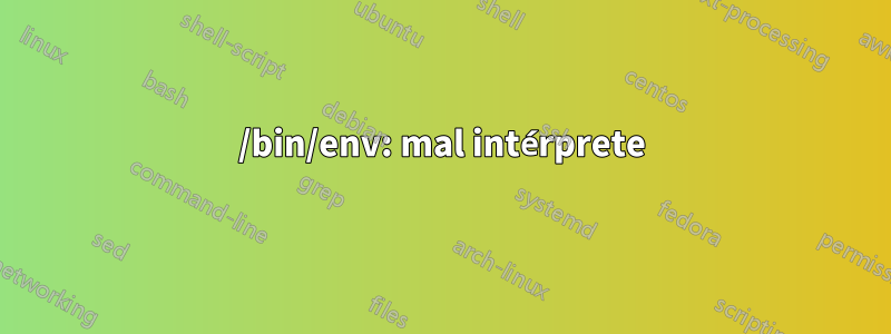 /bin/env: mal intérprete