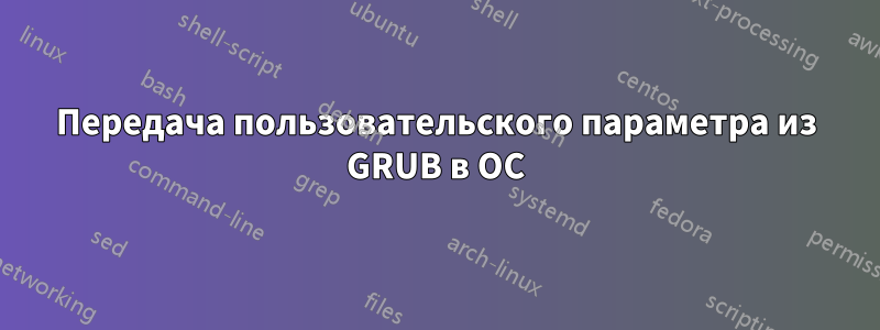 Передача пользовательского параметра из GRUB в ОС