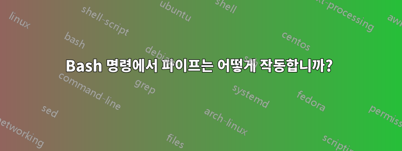 Bash 명령에서 파이프는 어떻게 작동합니까?