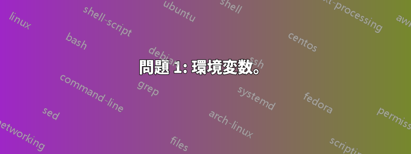 問題 1: 環境変数。