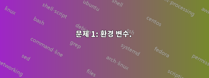 문제 1: 환경 변수.
