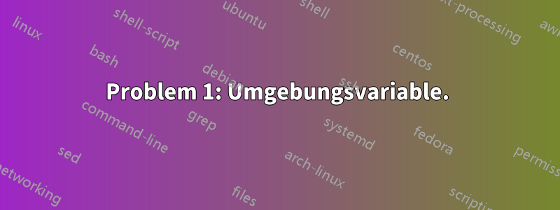 Problem 1: Umgebungsvariable.