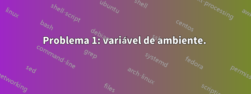 Problema 1: variável de ambiente.