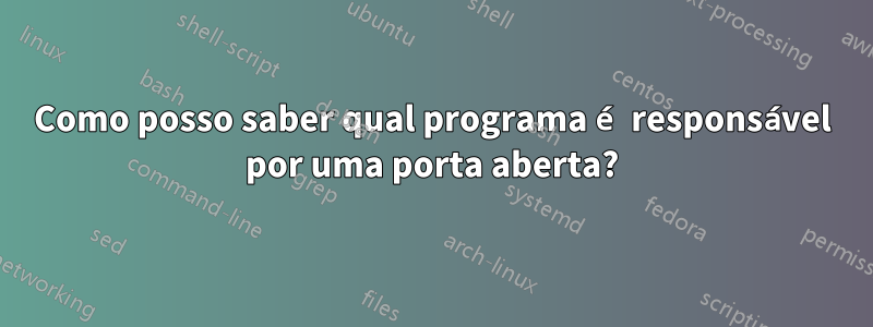 Como posso saber qual programa é responsável por uma porta aberta?