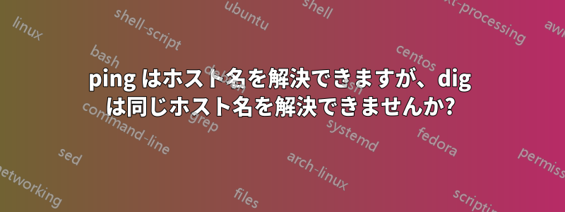 ping はホスト名を解決できますが、dig は同じホスト名を解決できませんか?