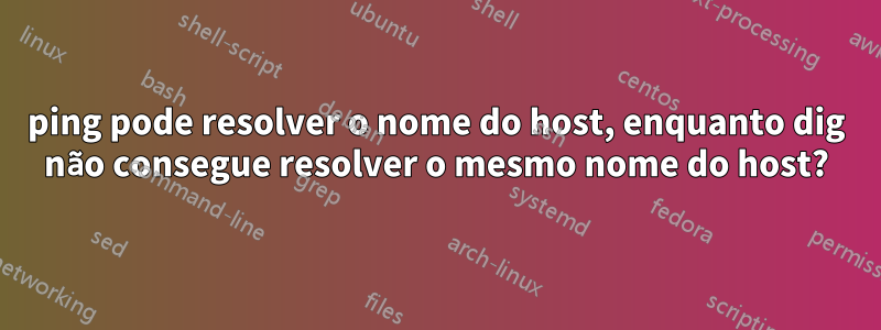 ping pode resolver o nome do host, enquanto dig não consegue resolver o mesmo nome do host?