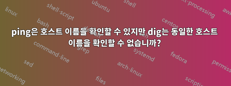 ping은 호스트 이름을 확인할 수 있지만 dig는 동일한 호스트 이름을 확인할 수 없습니까?