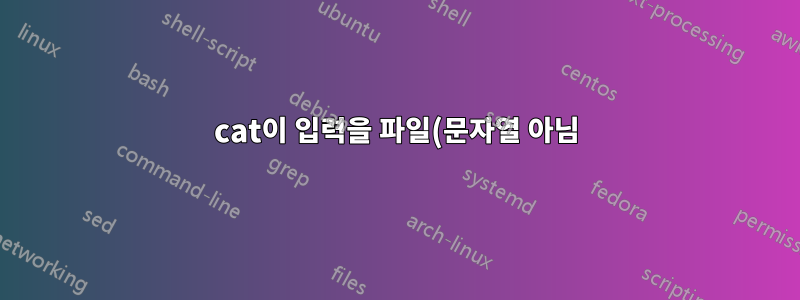 cat이 입력을 파일(문자열 아님)로 해석하도록 합니다.