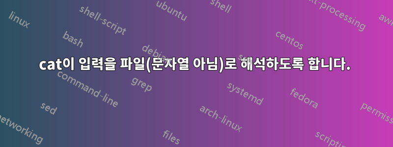 cat이 입력을 파일(문자열 아님)로 해석하도록 합니다.