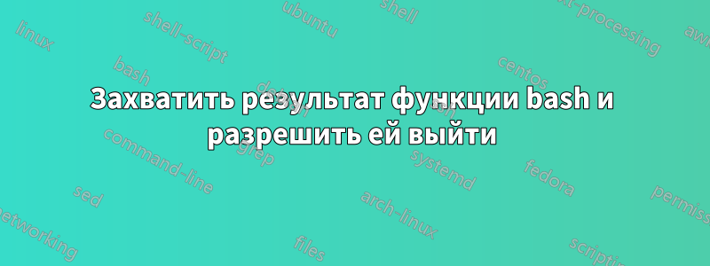 Захватить результат функции bash и разрешить ей выйти