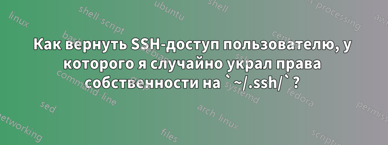 Как вернуть SSH-доступ пользователю, у которого я случайно украл права собственности на `~/.ssh/`?