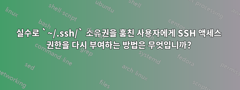 실수로 `~/.ssh/` 소유권을 훔친 사용자에게 SSH 액세스 권한을 다시 부여하는 방법은 무엇입니까?