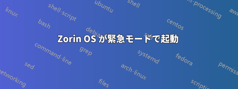 Zorin OS が緊急モードで起動