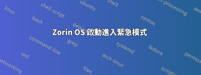 Zorin OS 啟動進入緊急模式